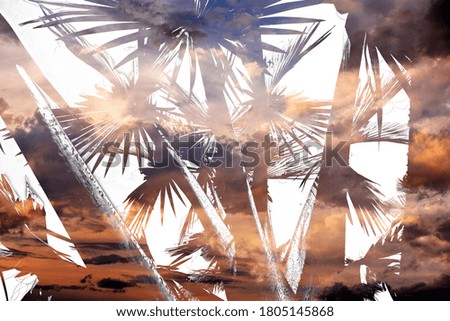 palms shapes - sunset sky with dark clouds close up - texture