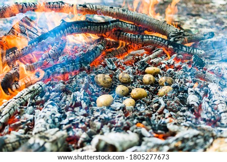 Picnic in nature. Cooking potatoes and kebabs over the fire. Fire texture. Coals and flames. Macro filming. Grill Royalty-Free Stock Photo #1805277673