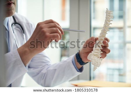Healthcare worker holding a model of a human spine pointing to one of its segments with a metal stick Royalty-Free Stock Photo #1805310178