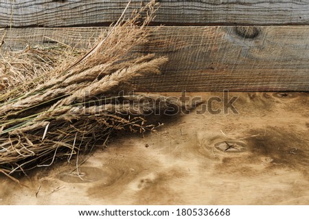 Dry autumn fluffy grass on the wooden background. Selective focus.