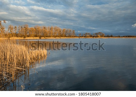 Beautiful colors of trees and reeds on a quiet lake