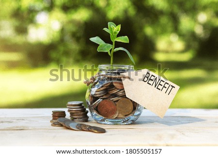 Benefit. Glass jar with coins and a plant in it, with a label on the jar and a few coins on a wooden table, natural background. Finance and investment concept. 