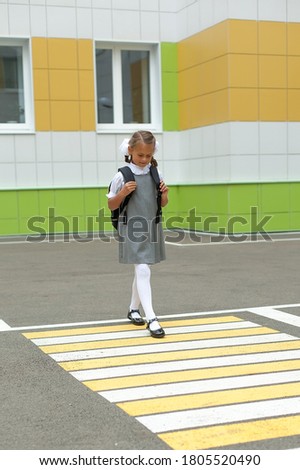 Back to school, a little girl is walking on a pedestrian crossing to school, education. security.