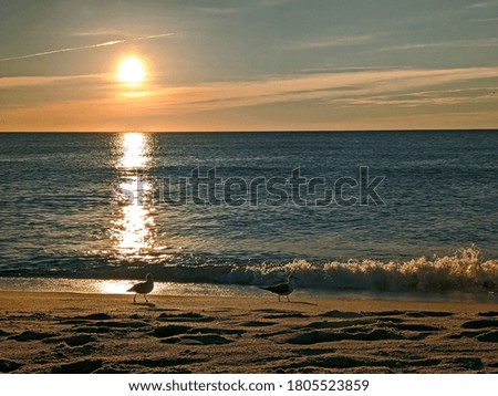 Stunning New York Sunrise By Atlantic Ocean Beach
