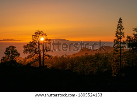 landscape with a sunset in a island