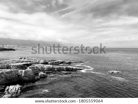 black and white coastal photo