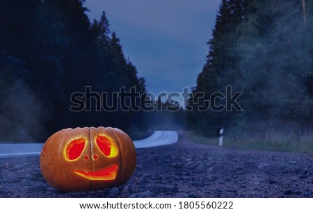 A Halloween pumpkin on a night highway  road near the forest in the fog