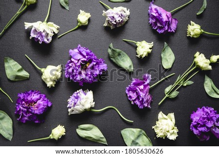 Flat lay composition with fresh purple and white flowers over a black canvas. Moody and dark creative photography.