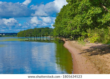 River, lake bank, sea shore or coast with tree branches, sand and blue sky with clouds in sunny summer or spring day