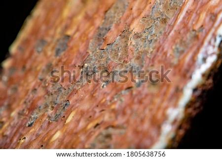 Background with an old metal surface with streaks of rust and peeling paint. Fine details at high magnification. Photo with soft focus and blurred backdrop.
