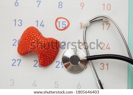 Model of thyroid with stethoscope on calendar
