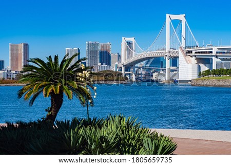 Japan. Panorama of Tokyo on a Sunny day. Rainbow bridge on the background of palm trees and the Bay. A white bridge under a blue sky. Bridge to the artificial island of Odaiba. Travel to Japan.
