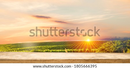 empty wooden table on the background of vines, tuscan landscape at sunrise Royalty-Free Stock Photo #1805666395