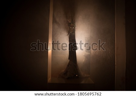 Silhouette of an unknown shadow figure on a door through a closed glass door. Spooky silhouette girl at night with smoke in background