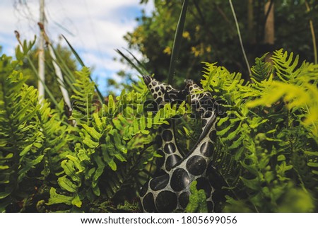 toy zebra rhino in the bushes 