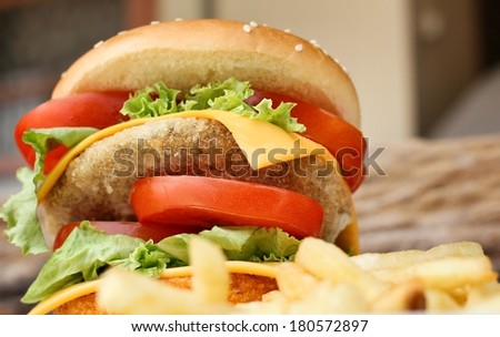 Close up of tasty hamburger and french fries