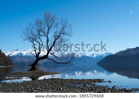 Wanaka Tree in lake with mountains
