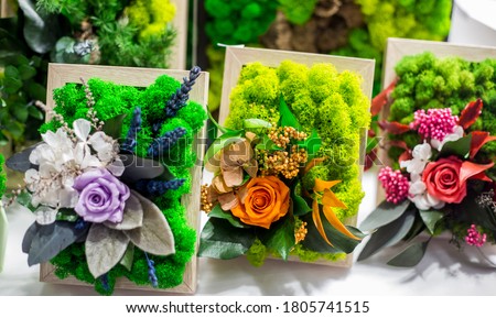 Decorative floristic arrangement of artificial flowers and stabilized moss, soft focus, selective focus. Royalty-Free Stock Photo #1805741515
