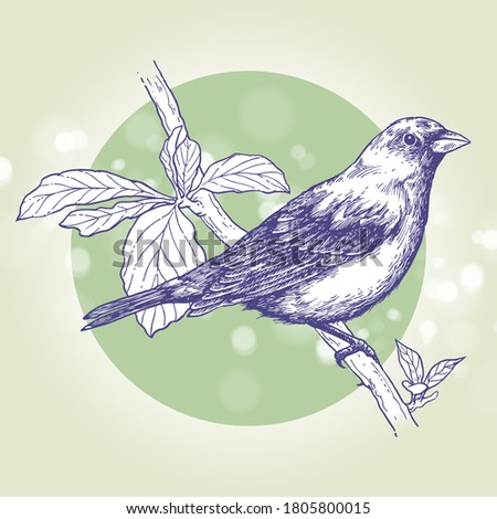 Bird perched on a branch, Ink drawing, Hand drawn illustration, Vector