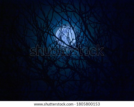 Full moon peaking through trees