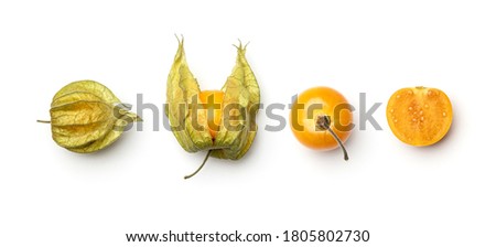 Collection of physalis berries isolated on white background Royalty-Free Stock Photo #1805802730