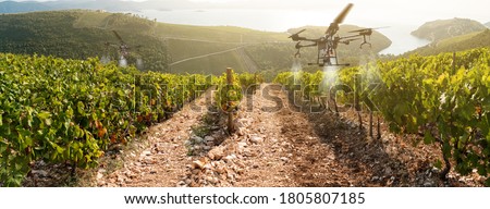 Drone sprayer flies over the vineyard. Smart farming and precision agriculture Royalty-Free Stock Photo #1805807185
