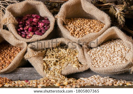 Various types of cereals with cobs. Cereals in bags close-up. Wheat. Oats. Buckwheat. Beans. Pearl barley.