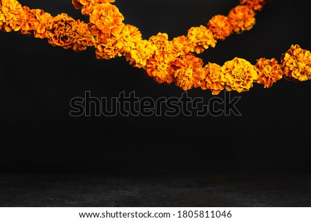 Marigold flowers Garlands on black. Dia de los muertos day, day of the dead or halloween background, copy space Royalty-Free Stock Photo #1805811046
