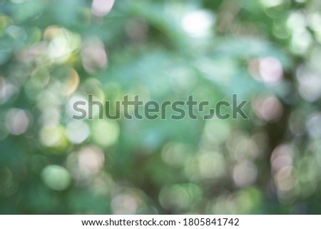 green abstract background of bokeh