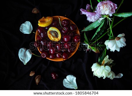 flowers, berries and fruits on a dark background. still life with berries and fruits. cherries and apricots on a dark background. still life with pink and white peonies