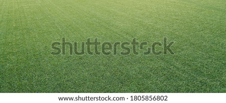 Beautiful green football field with slight out focus in far distance. Concept for creative sport poster or advertising use.