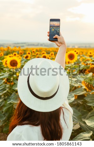 stylish elegance woman taking picture of the sunflowers field on her phone