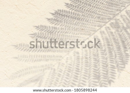Tropical leaves natural shadow overlay on white texture background, for overlay on product presentation, backdrop and mockup, fall autumn seasonal concept