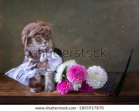 Pretty kitty in shoolgirl foarm and bouquet of flowers