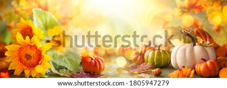 Festive autumn decor from pumpkins, flowers and fall leaves. Concept of Thanksgiving day or Halloween with copy space Royalty-Free Stock Photo #1805947279