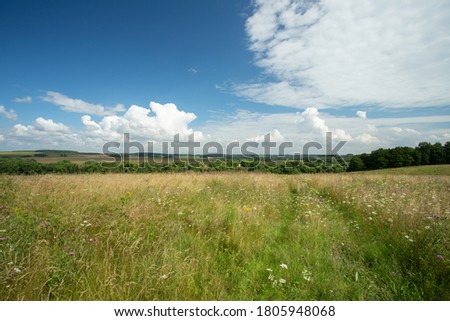 Beautiful Scenic Landccape. Meadow Flower Field With Dramatic Clouds In Sunny Day In Summer.