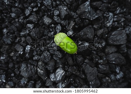 Green Acorn on fossil coal. Picture idea about coal mining or energy source, environment protection.