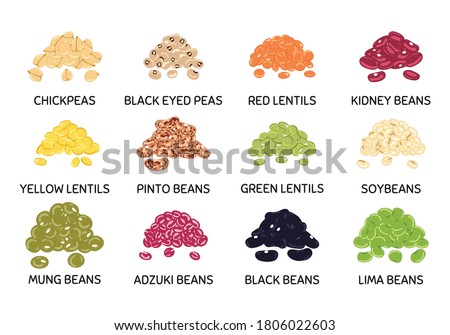 Set of hand drawn vector handful of beans and legumes. Chickpea, kidney bean, mung, soy, lentils, pinto beans, adzuki beans, lima beans. Organic healthy food. Vegan and vegetarian poster Royalty-Free Stock Photo #1806022603