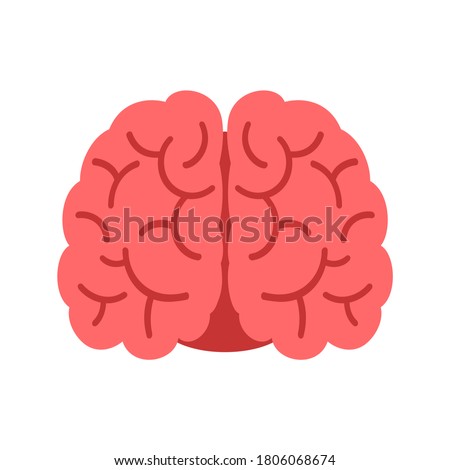 Human brain front view, isolated on white background. Red cerebral cortex with gyrus.Vector illustration, flat design, cartoon style.