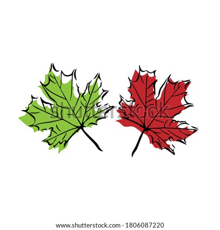 Two maple leaves, green and red, vector graphics