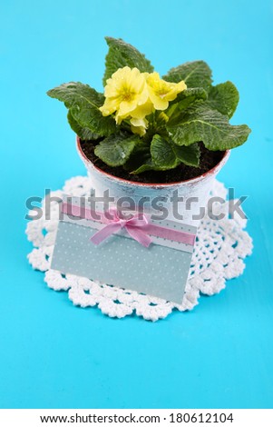 Yellow primrose in pot on color napkin on wooden background