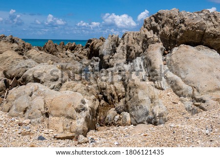 Rock formations on the sea floor near the coast.