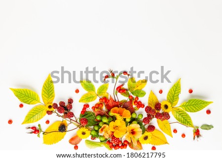 Autumn composition made of flowers,leaves, berries on white background. Autumn concept for Thanksgiving day or for other holidays. Flat lay,  copy space.