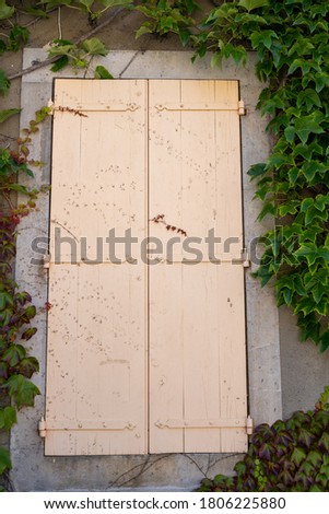 Vertical photo of an old wood door with an iron lock and surrounded by plants. Vintage style