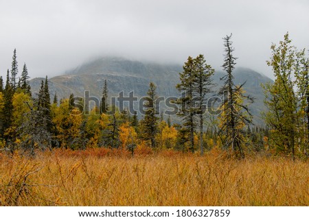 northern nature in autumn, autumn in the mountains, autumn landscape in the mountains.