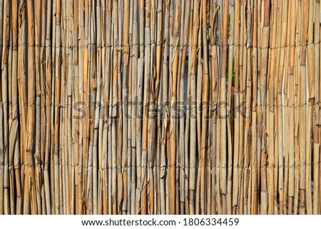 Old fence made of reeds as background Royalty-Free Stock Photo #1806334459
