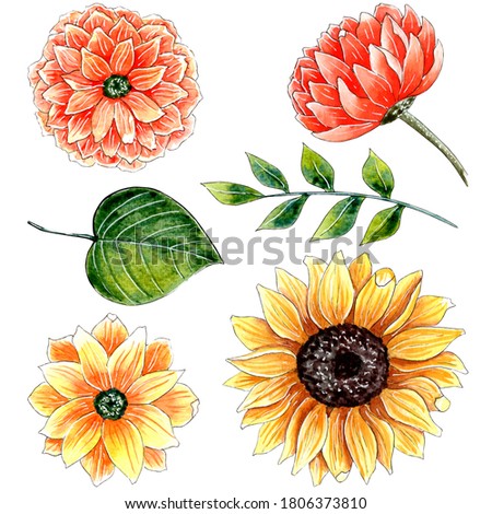 Hand Drawn watercolor orange and yellow flowers set, sunflower, chrysanthemum and leaves.