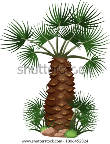 Palm trees with nature elements on white background illustration