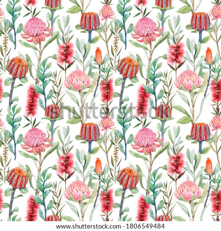 Beautiful seamless floral pattern with watercolor summer protea and australian banksia flowers. Stock illustration.