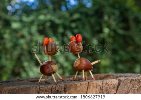 Organic animals made from brown acorns, marrons, magnolia soulangeana seeds and safety matches, funny craft diy